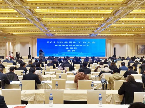 華特集團(tuán)執(zhí)行總裁王前出席參加2025中國非金屬礦工業(yè)大會